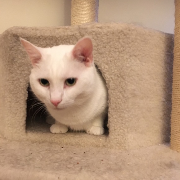 Meet your Posher, Lepetit - Picture 10 of 14